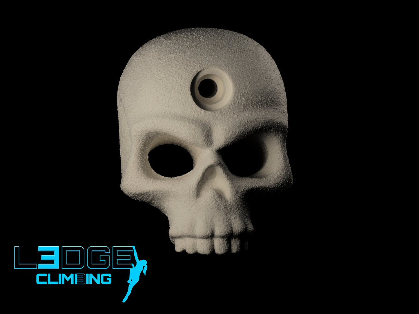 AGENT SKULLY