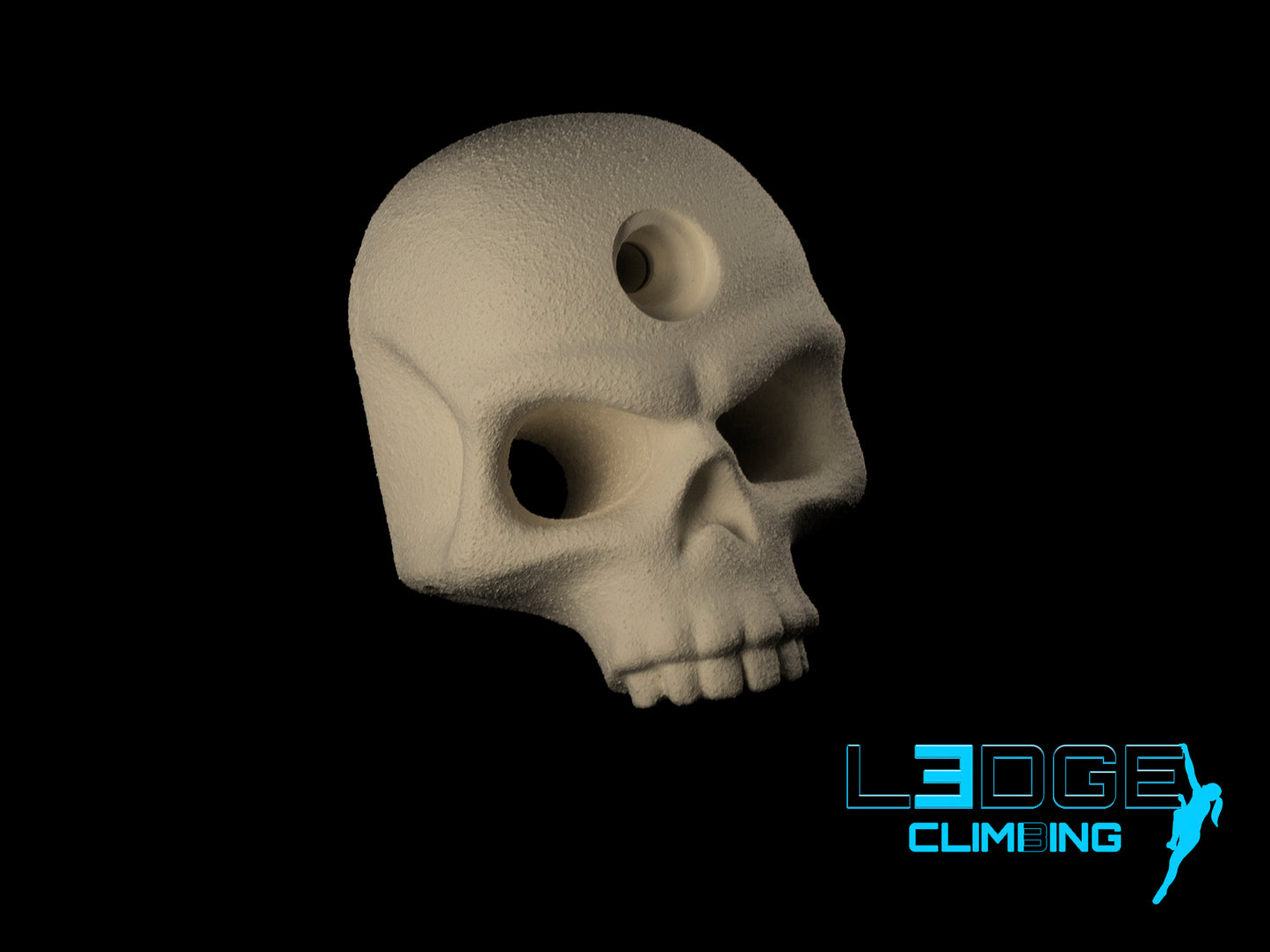 AGENT SKULLY